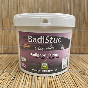 BadiStuc